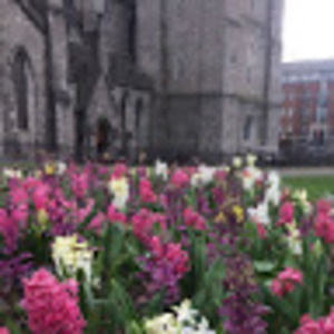 Meet your Posher, Rosa